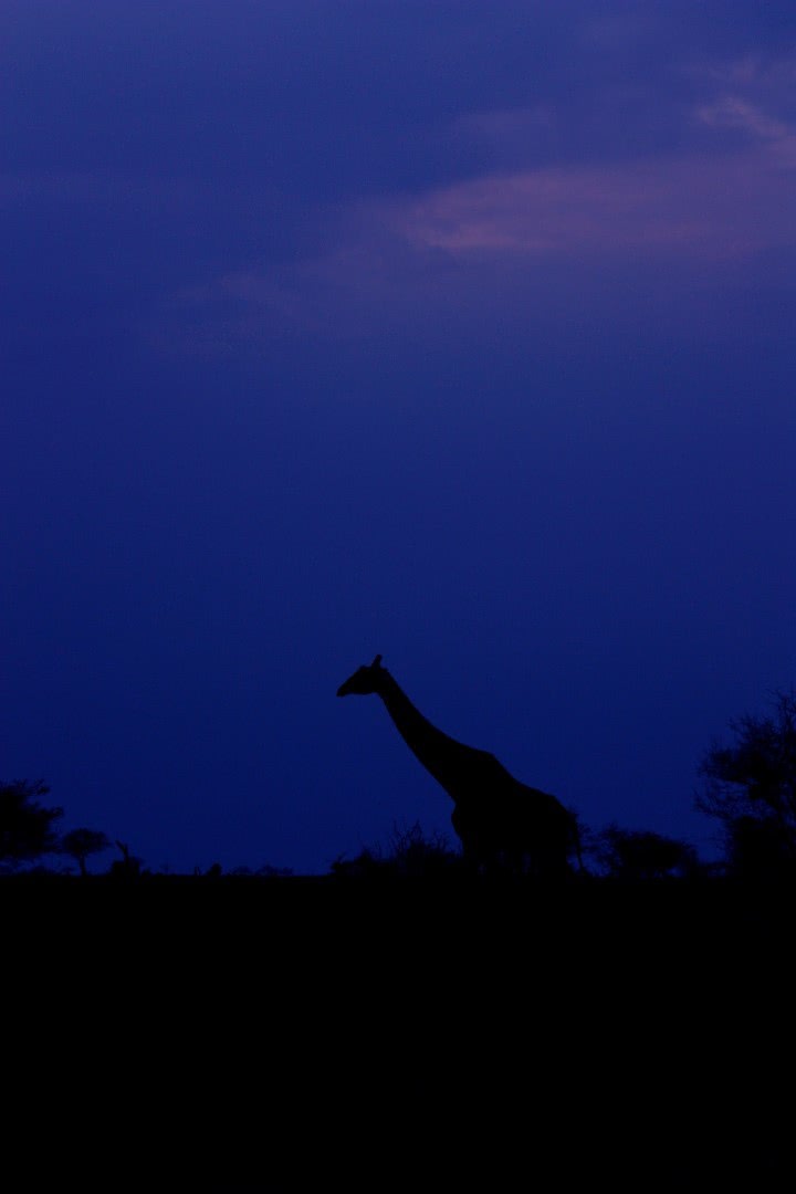 Sunset in Kenya