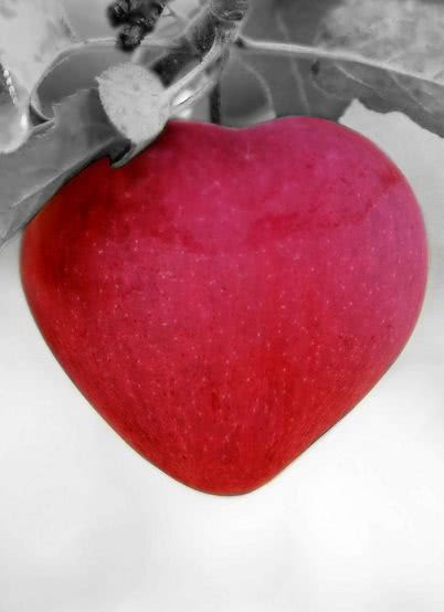 Heart shaped apple