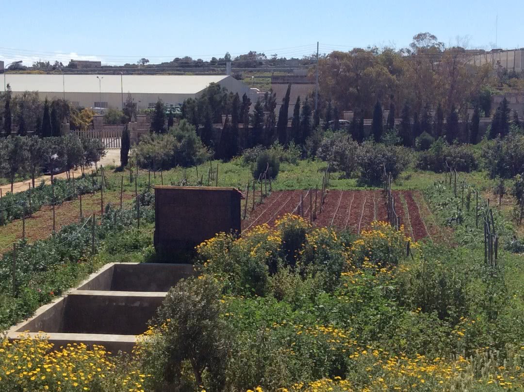 The semi-wild environment at Frate Jacoba House