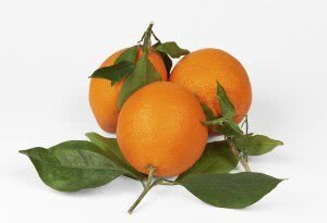 Goodness, fruit of the spirit, orange