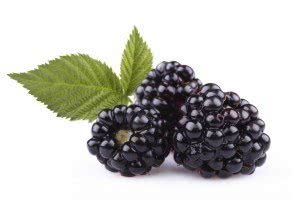 Kindness, fruit of the spirit, blackberry