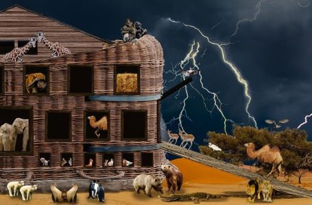 Corona Quarantine – Lessons From Noah’s Ark