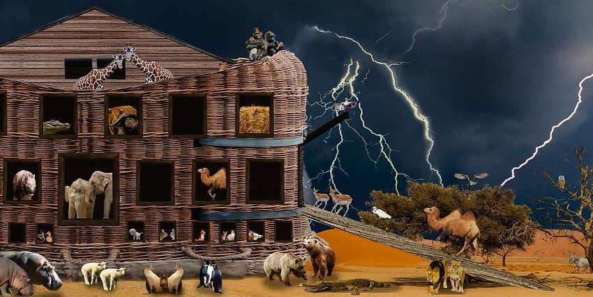 Corona Quarantine – Lessons From Noah’s Ark